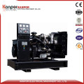 Lovol 20kw 25kVA (22kw 28kVA) Advanced Technology Diesel Genset